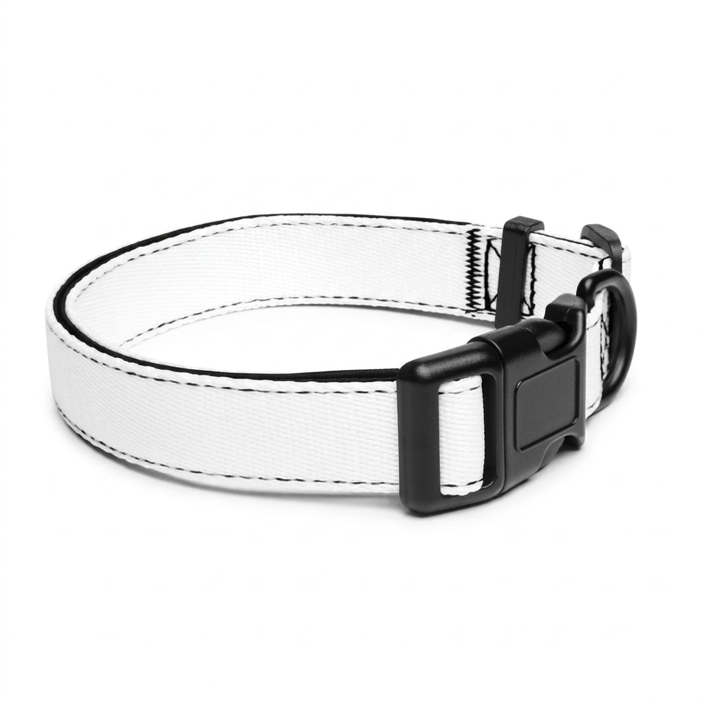 Custom Pet Collar — hero product shot
