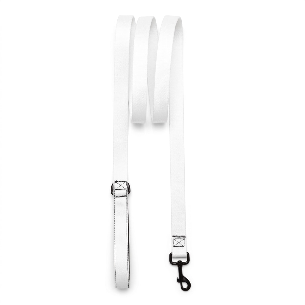 Custom Pet Leash — hero product shot