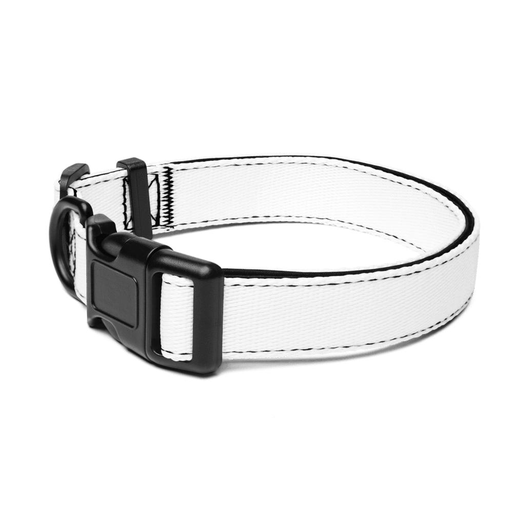 Custom Pet Collar — White