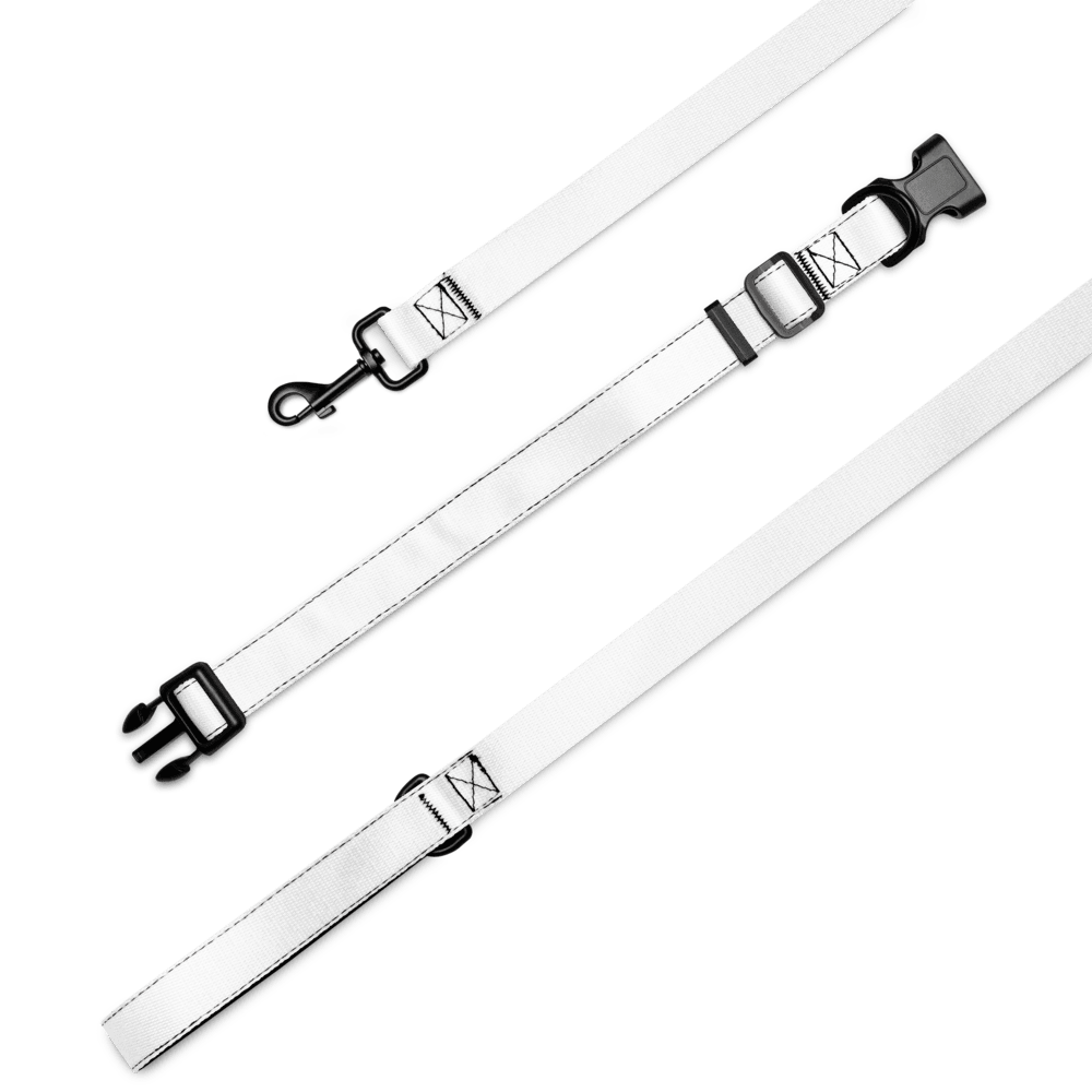 Custom Pet Collar & Leash Set — White